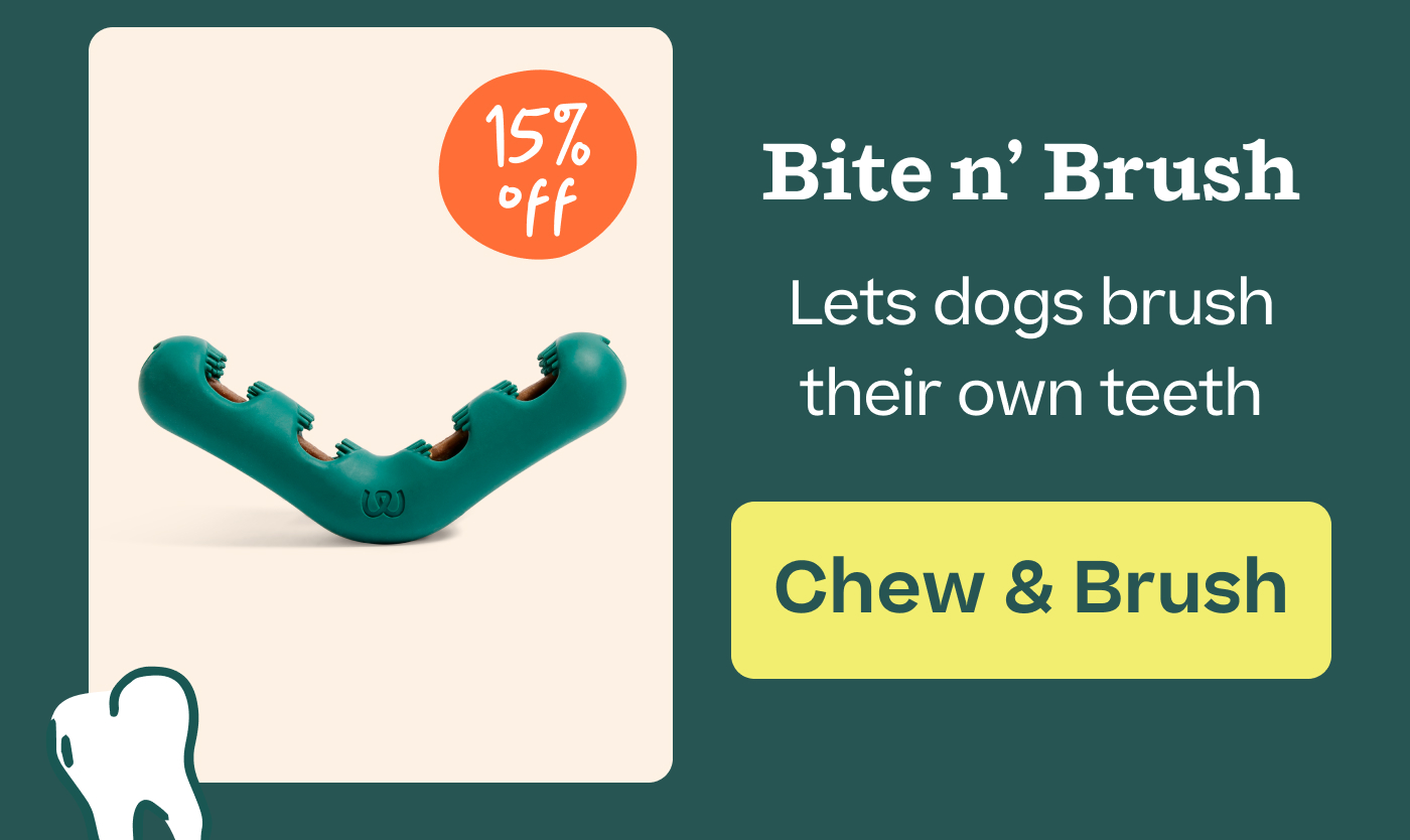 Bite n' Brush. Lets dogs brush their own teeth   |  Chew & Brush