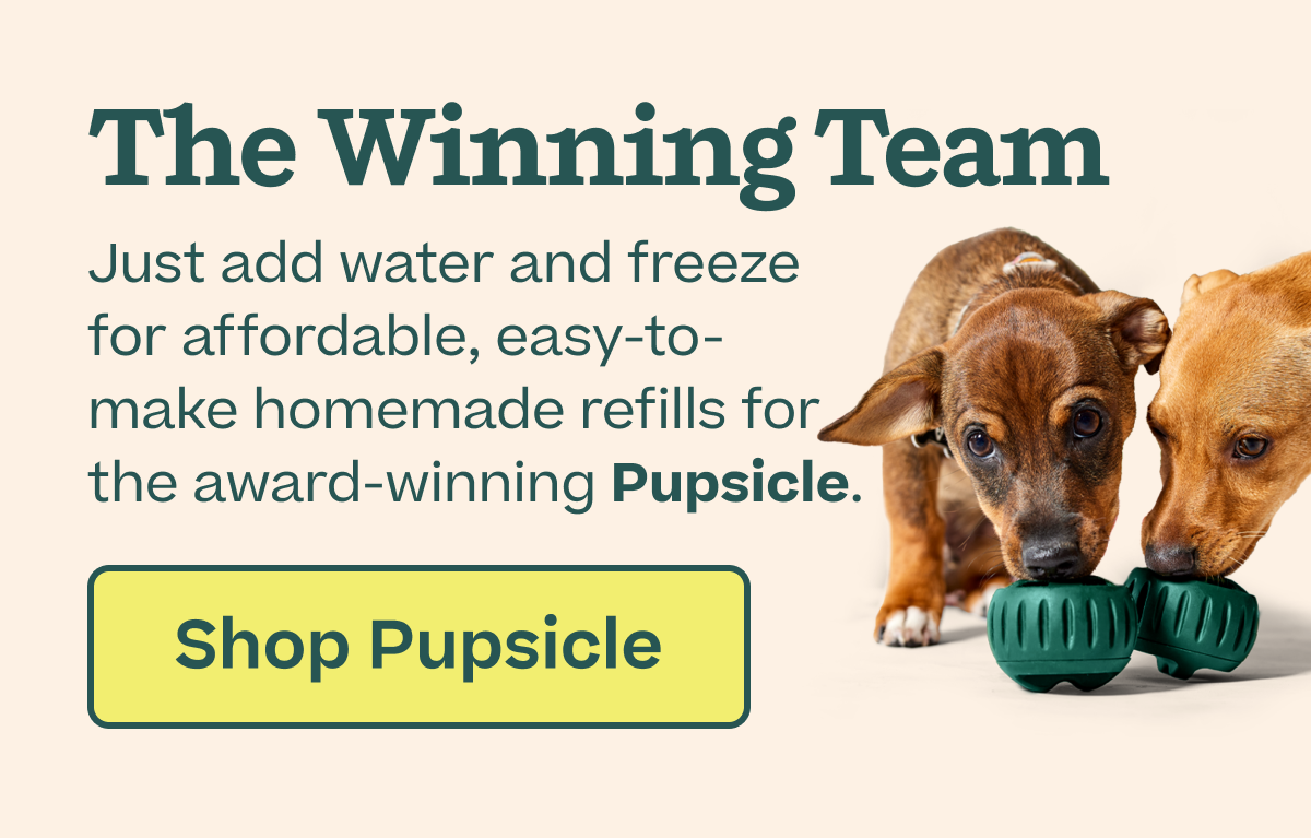 The Winning Team: Just add water and freeze for affordable, easy-to-make homemade refills for the award-winning Pupsicle. | Shop Pupsicle 
