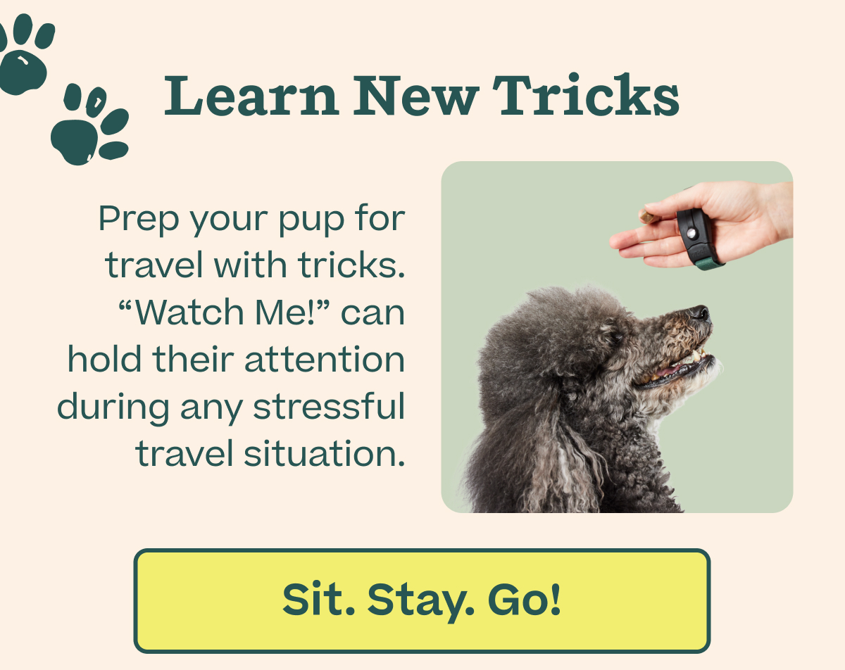 Woof | Learn New Tricks - Buy Lil' Trainers