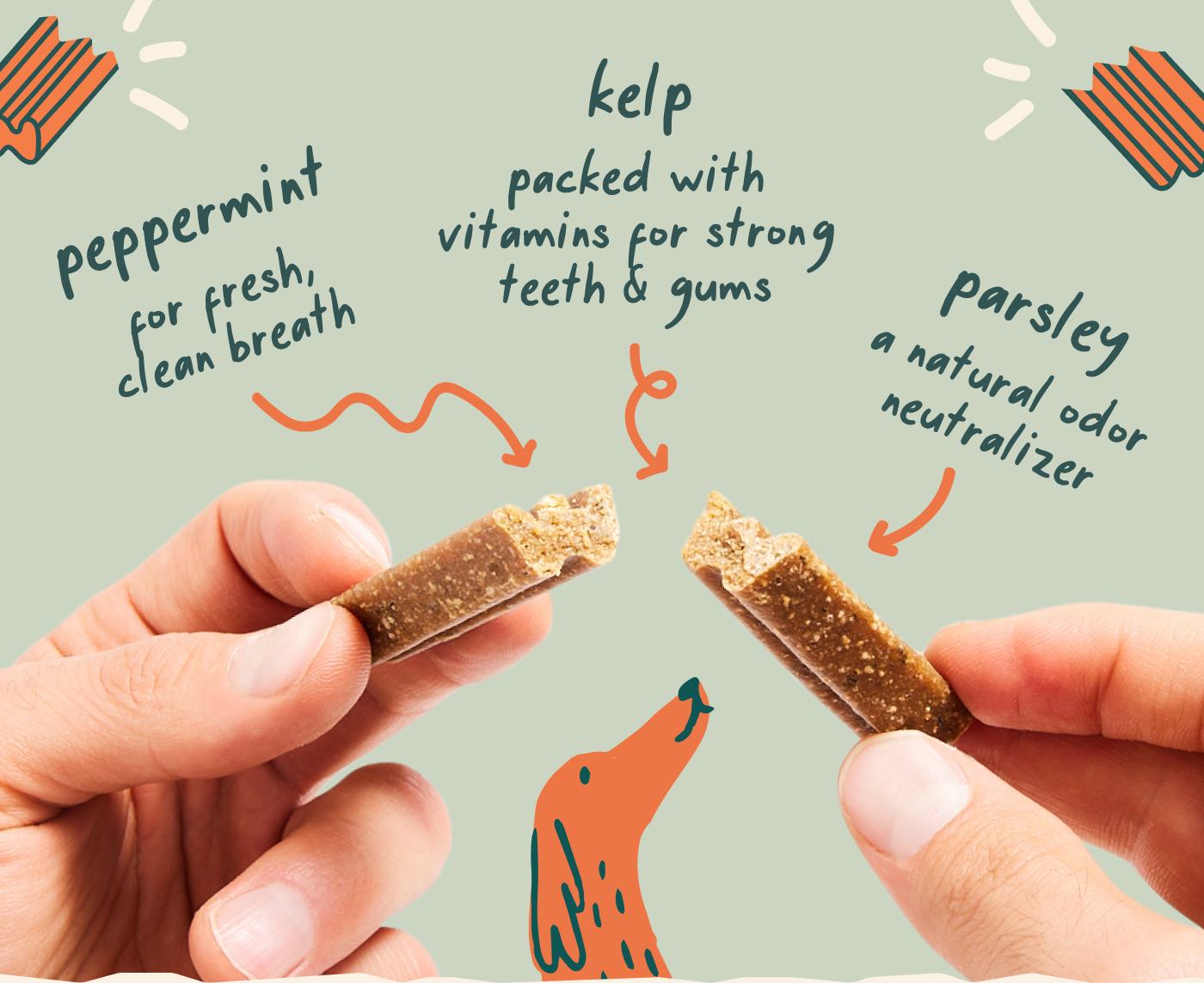 🍀 Peppermint – For fresh, clean breath   🍀 Kelp – Packed with vitamins for strong teeth & gums    🍀Parsley – A natural odor neutralizer