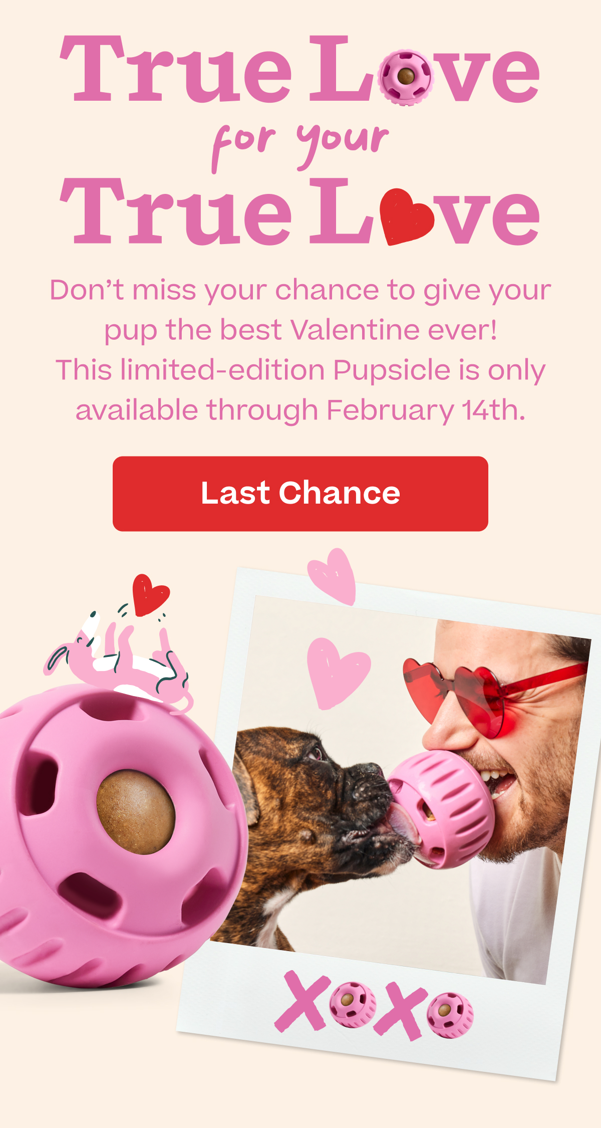 True Love for your True Love | Last chance to get the Valentine Pupsicle