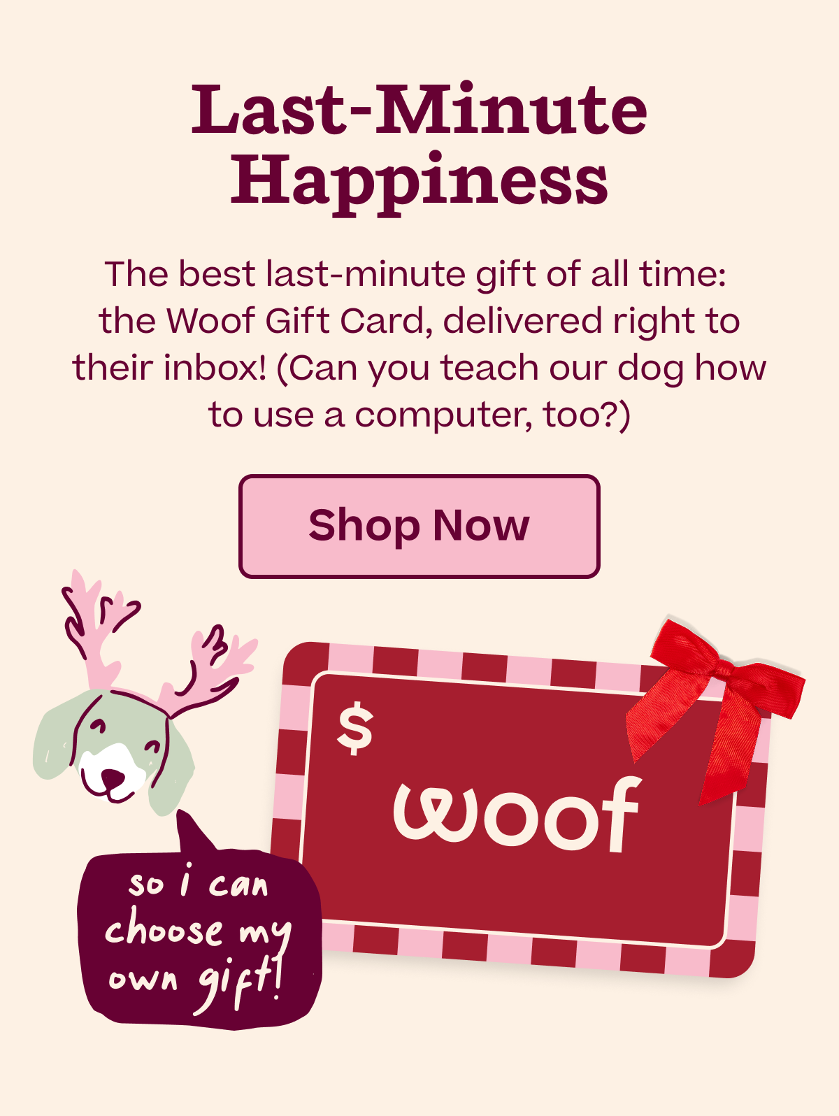 Last-minute happiness | Get a Woof Gift Card delivered right to your inbox | Shop now