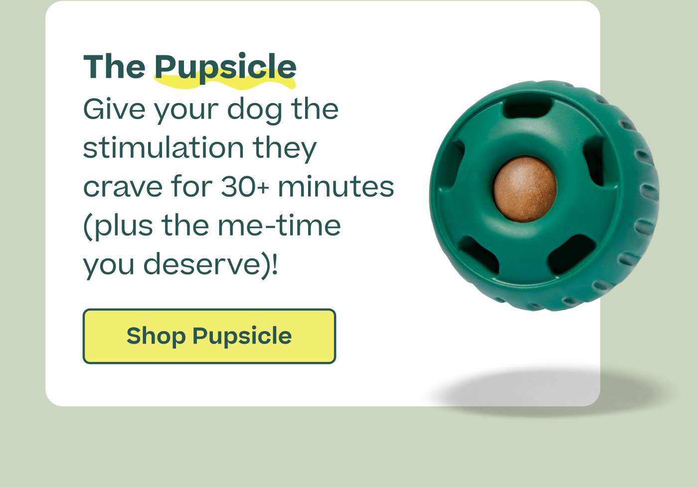 The Pupsicle  Give your dog the stimulation they crave for 30+ minutes (plus the me-time you deserve)!  |  Shop Pupsicle