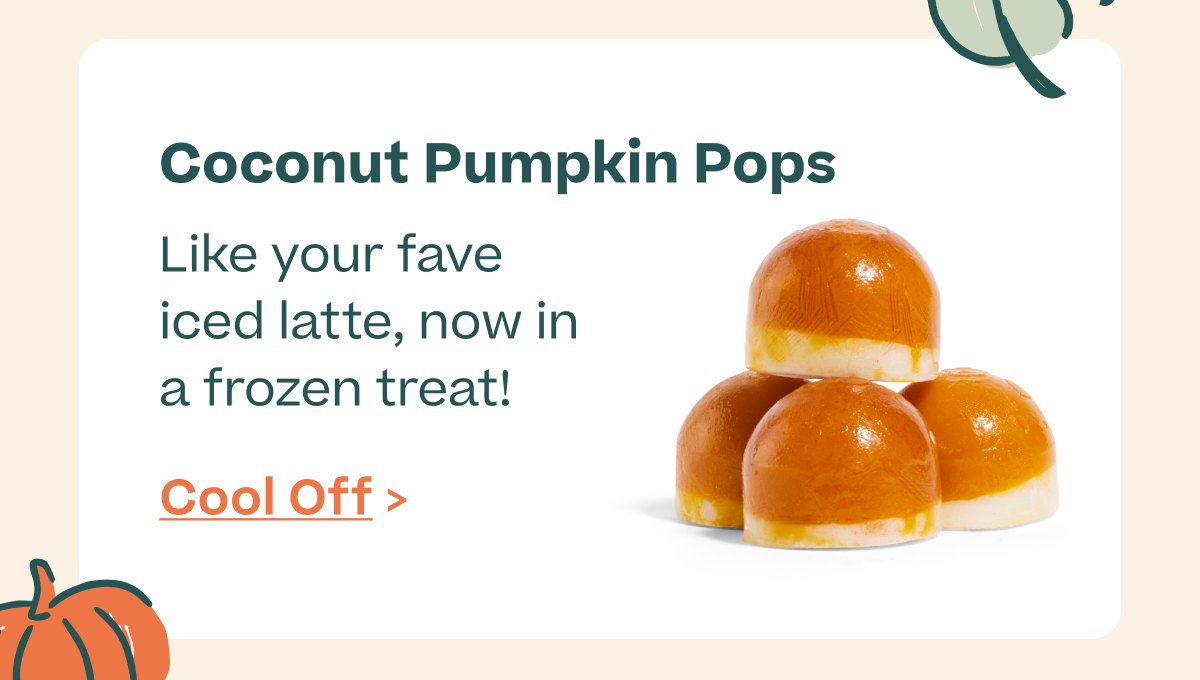 Coconut Pumpkin Pops. Like your fave iced latte, now in a frozen treat!