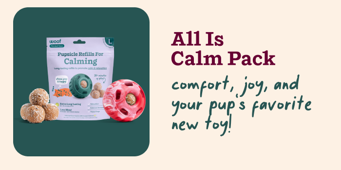 All is Calm Pack: Comfort, joy, and your pup's favorite new toy! 