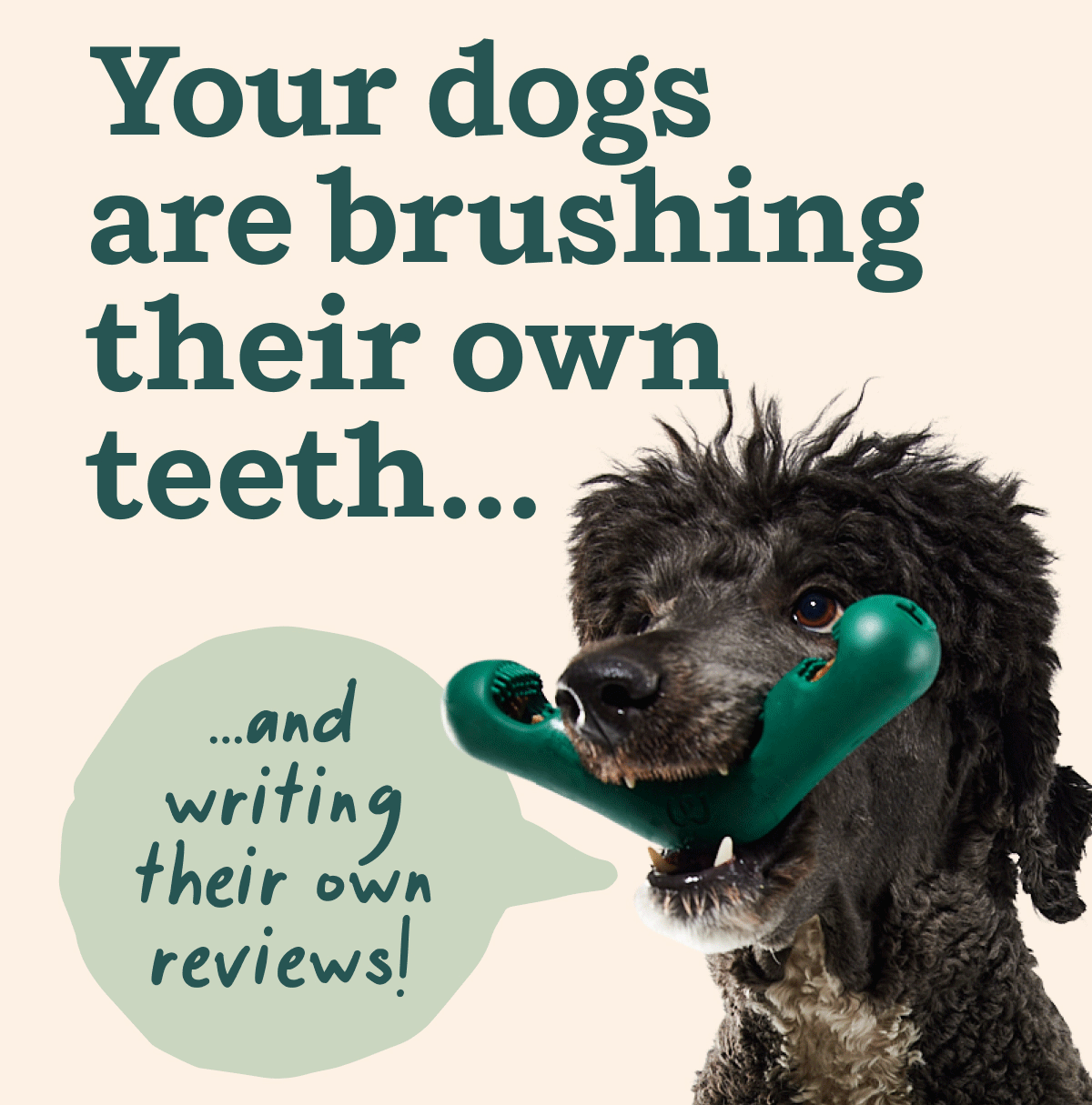 Your dogs are brushing their own teeth...and writing their own reviews!