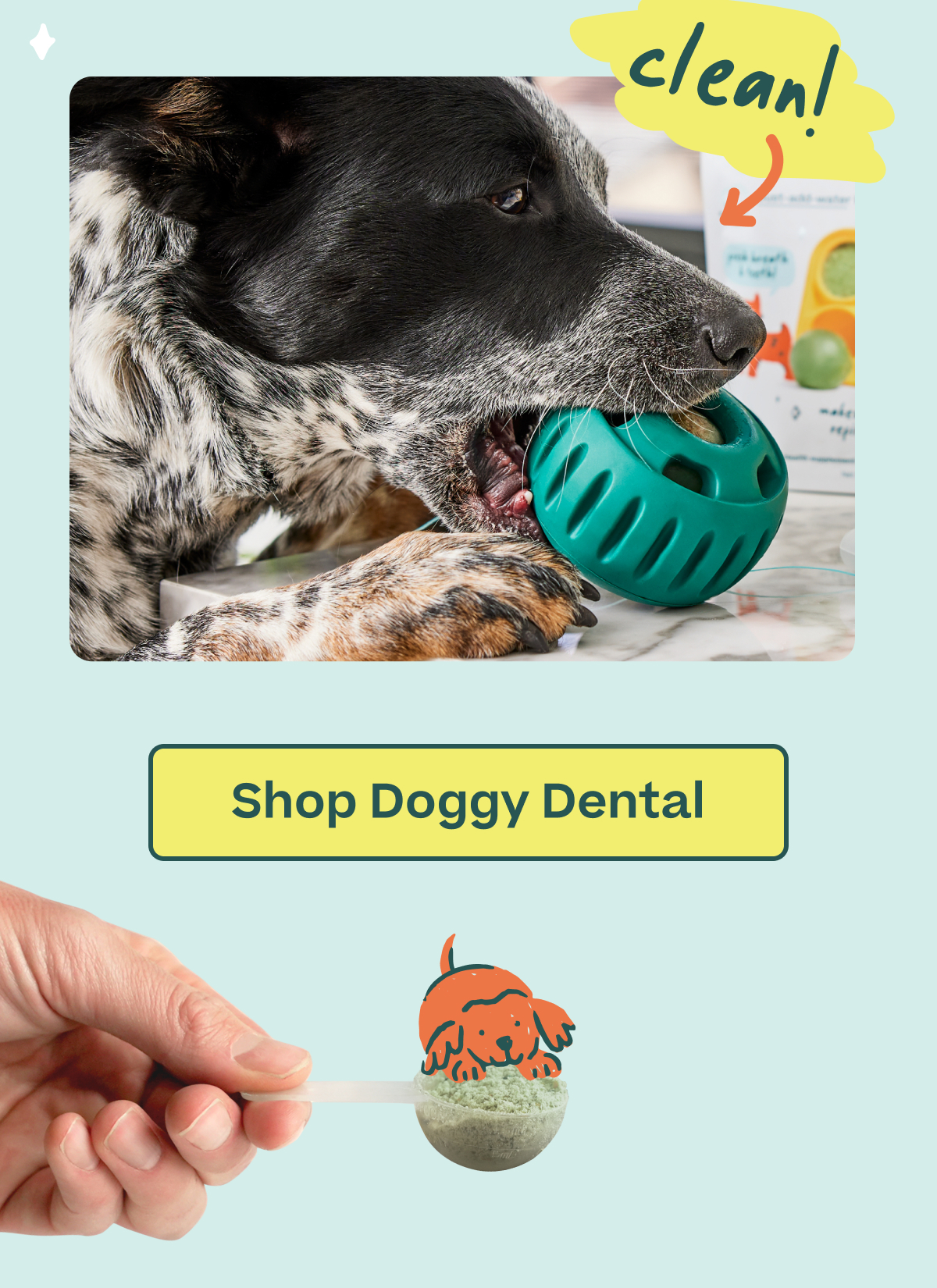 clean!  |  Shop Doggy Dental