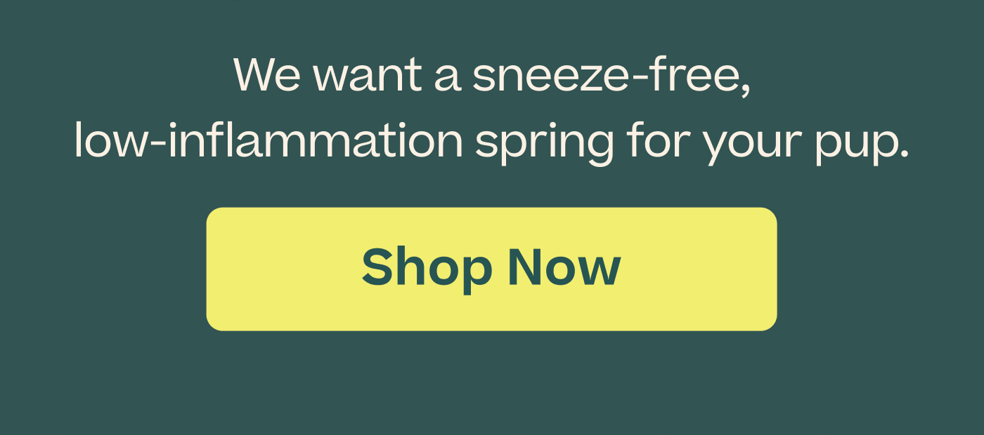 We want a sneeze free, low inflammation spring for your pup.  |  Shop Now