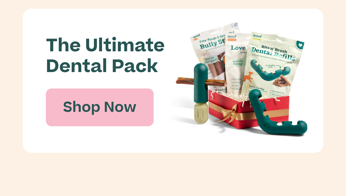 Woof | Our Small Business - Shop the Ultimate Distraction Pack