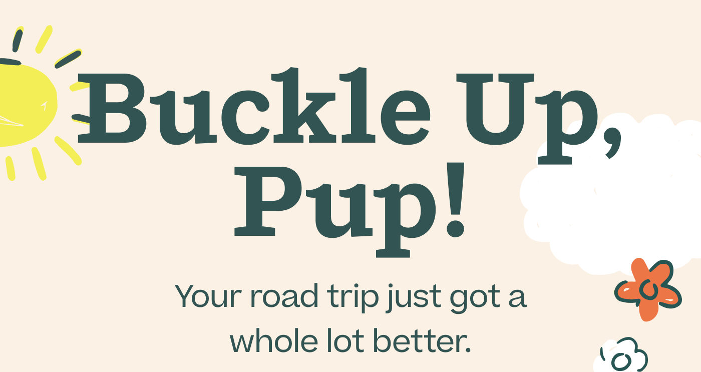 Buckle Up, Pup! Your road trip just got a whole lot better.