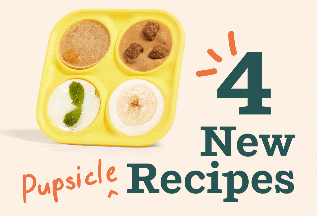 4 New Pupsicle Recipes