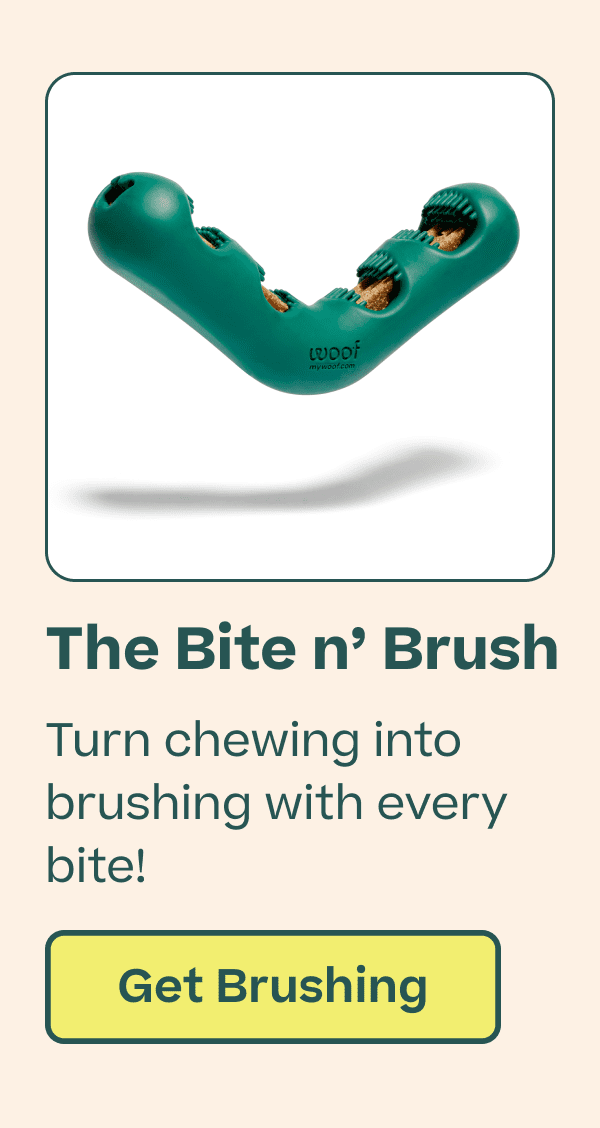 the bite n' brush