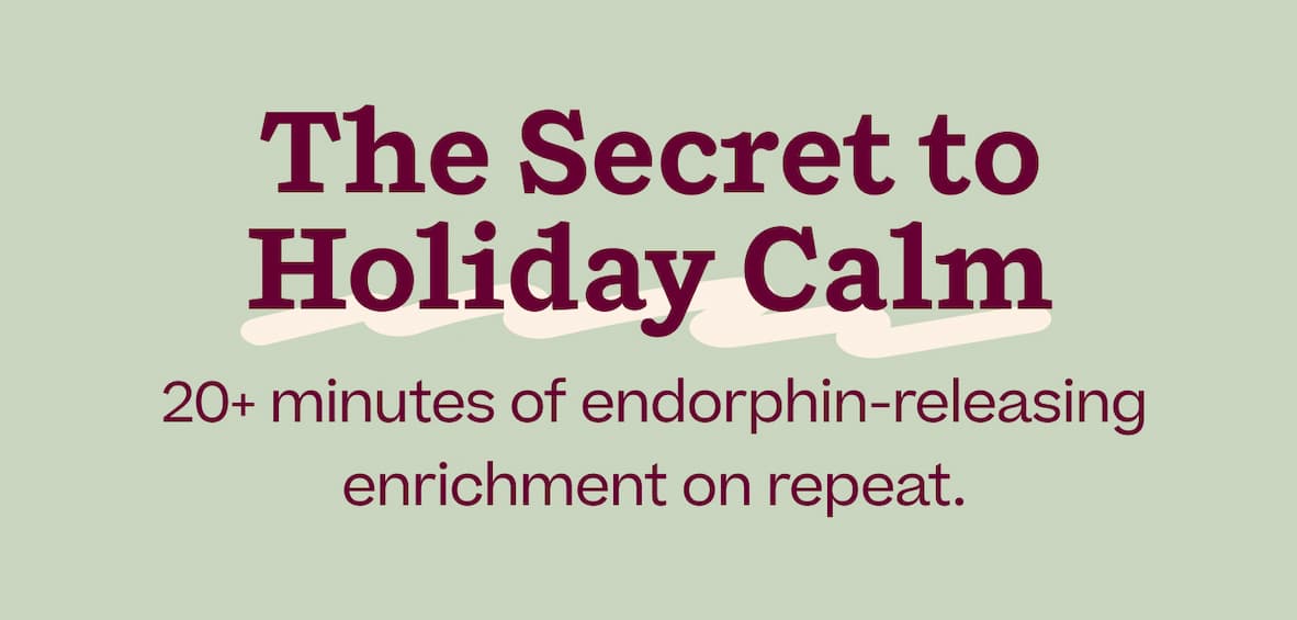 The Secret to Holiday Calm. 20+ minutes of endorphin-releasing enrichment on repeat.