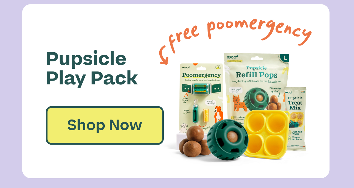 Pupsicle Play Pack  |  Shop Now