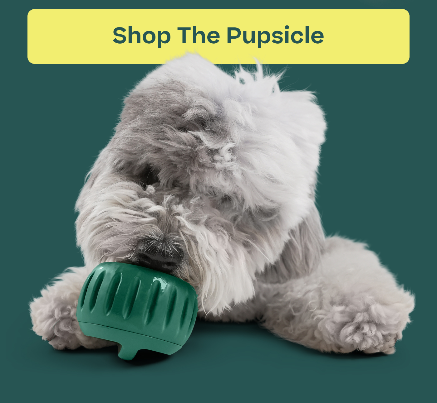Shop The Pupsicle