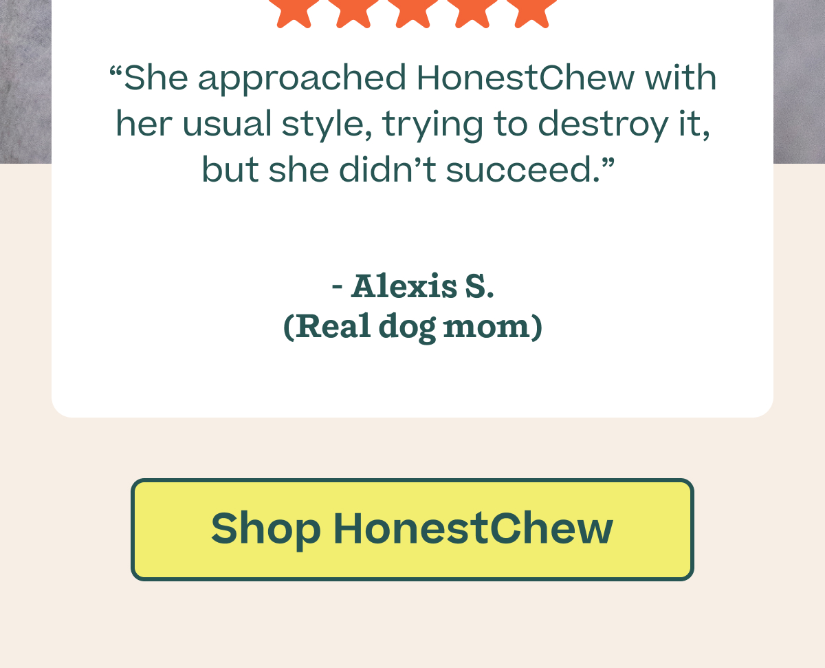 "She approached HonestChew with her usual style, trying to destroy it, but she didn't succeed." - Alexis S. (Real dog mom)  |  Shop HonestChew