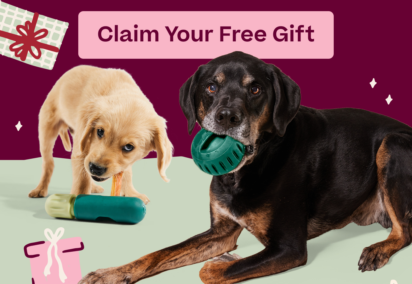 Claim Your Free Gift