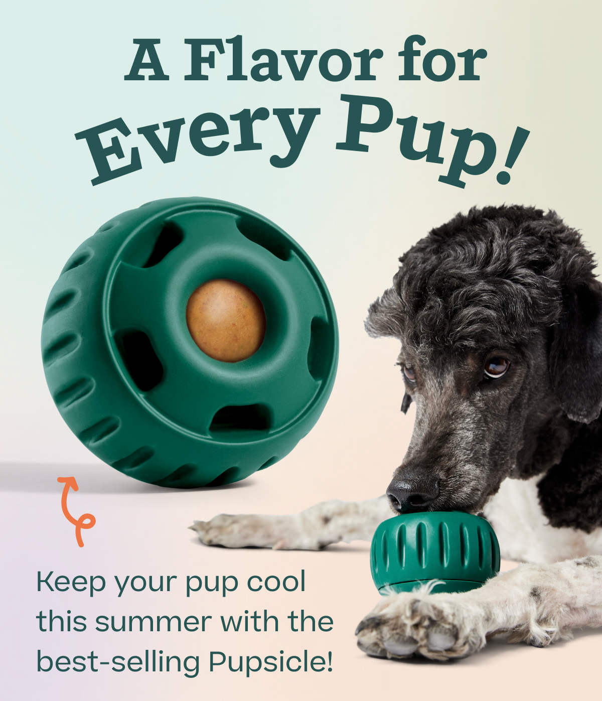 A Flavor for Every Pup!  Keep your pup cool this summer with the best-selling Pupsicle!