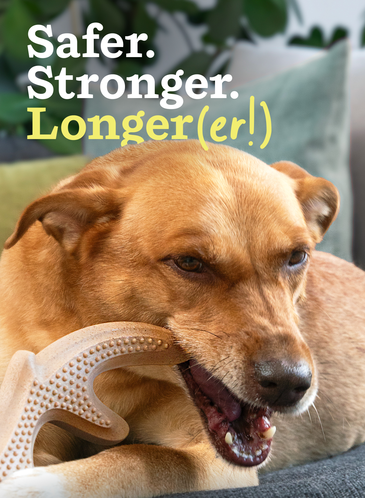 Safer. Stronger. Longer (er!)