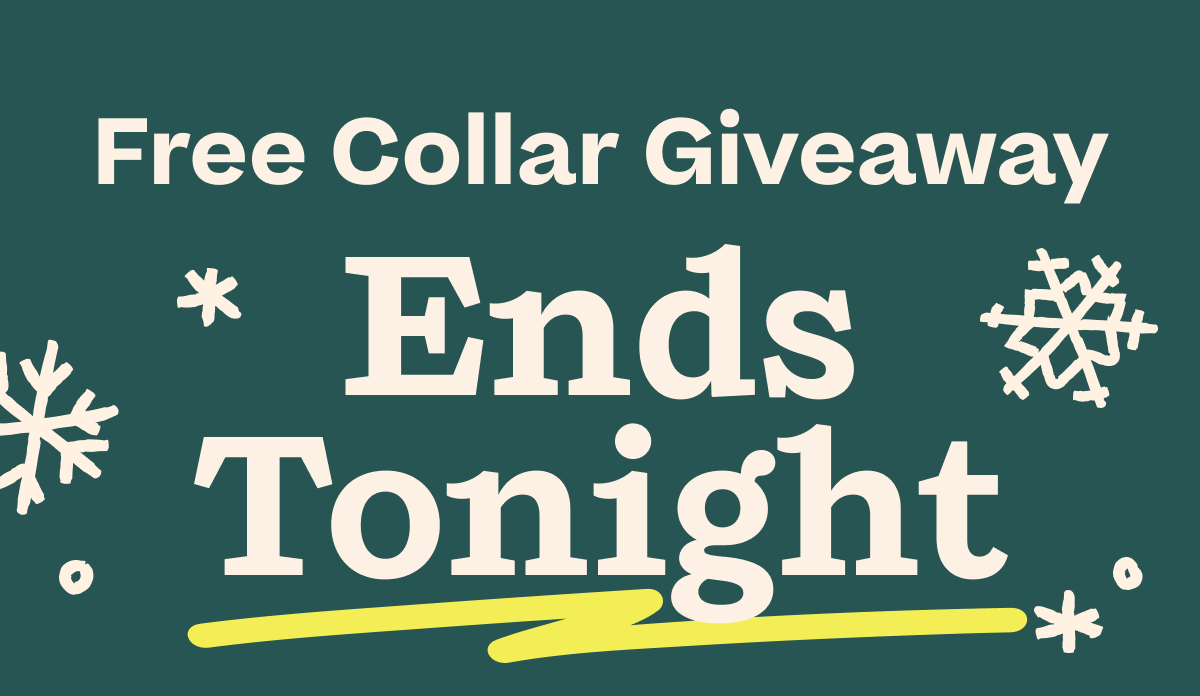 Woof x Fi | Spend $100 Get a Free Fi Collar - Ends Tonight!