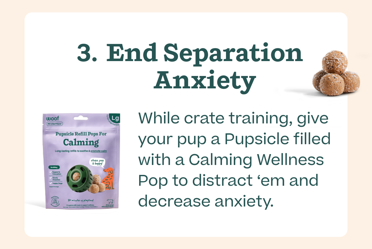 Woof | End Separation Anxiety