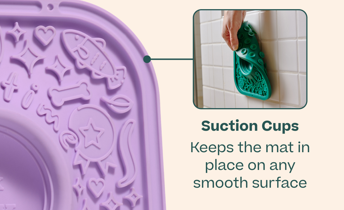 Suction Cups Keeps the mat in place on any smooth surface