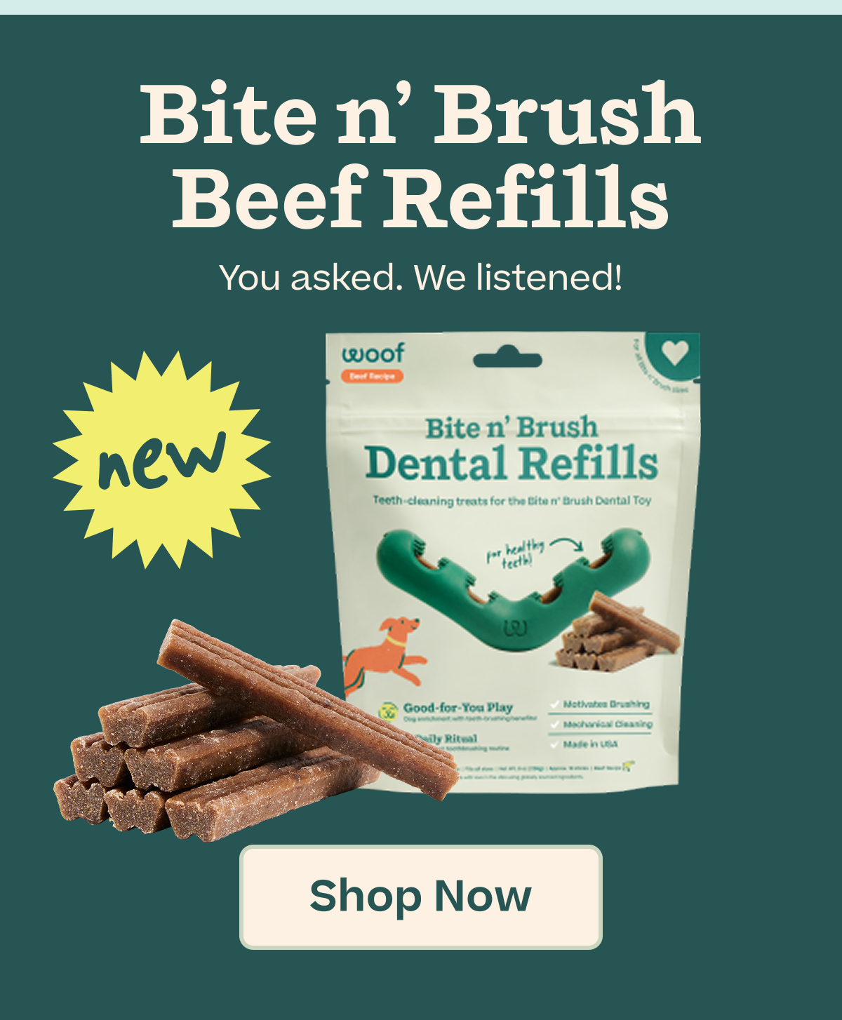 NEW! Bite n Brush Beef Refills 