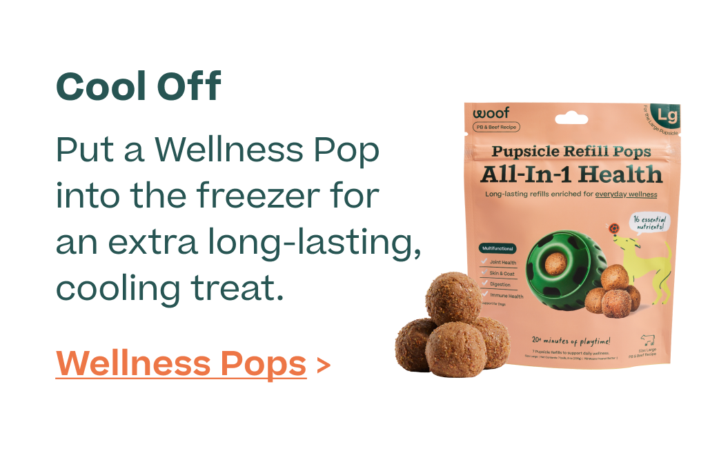 Woof | Cool Off - Shop Wellness Pops