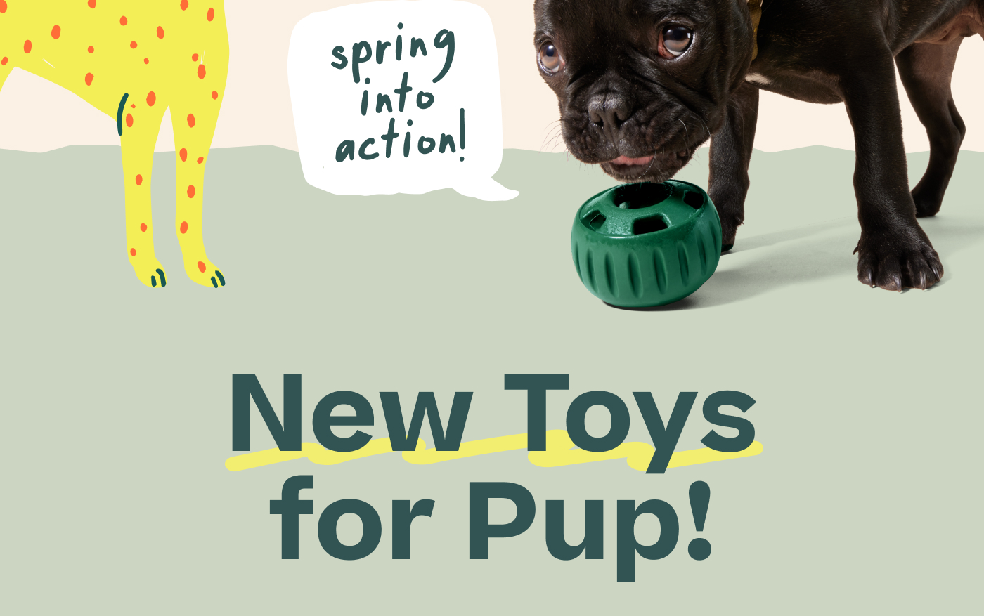 "spring into action!" | New Toys for Pup!