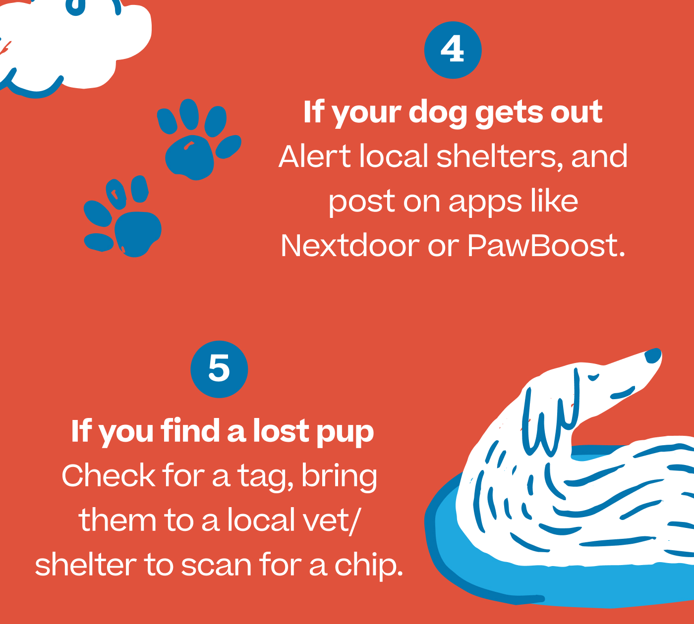 4. If your dog gets out: Alert local shelters, and post on apps like Nextdoor or PawBoost 5. If you find a lost pup: Check for a tag, bring them to a local vet/shelter to scan for a chip