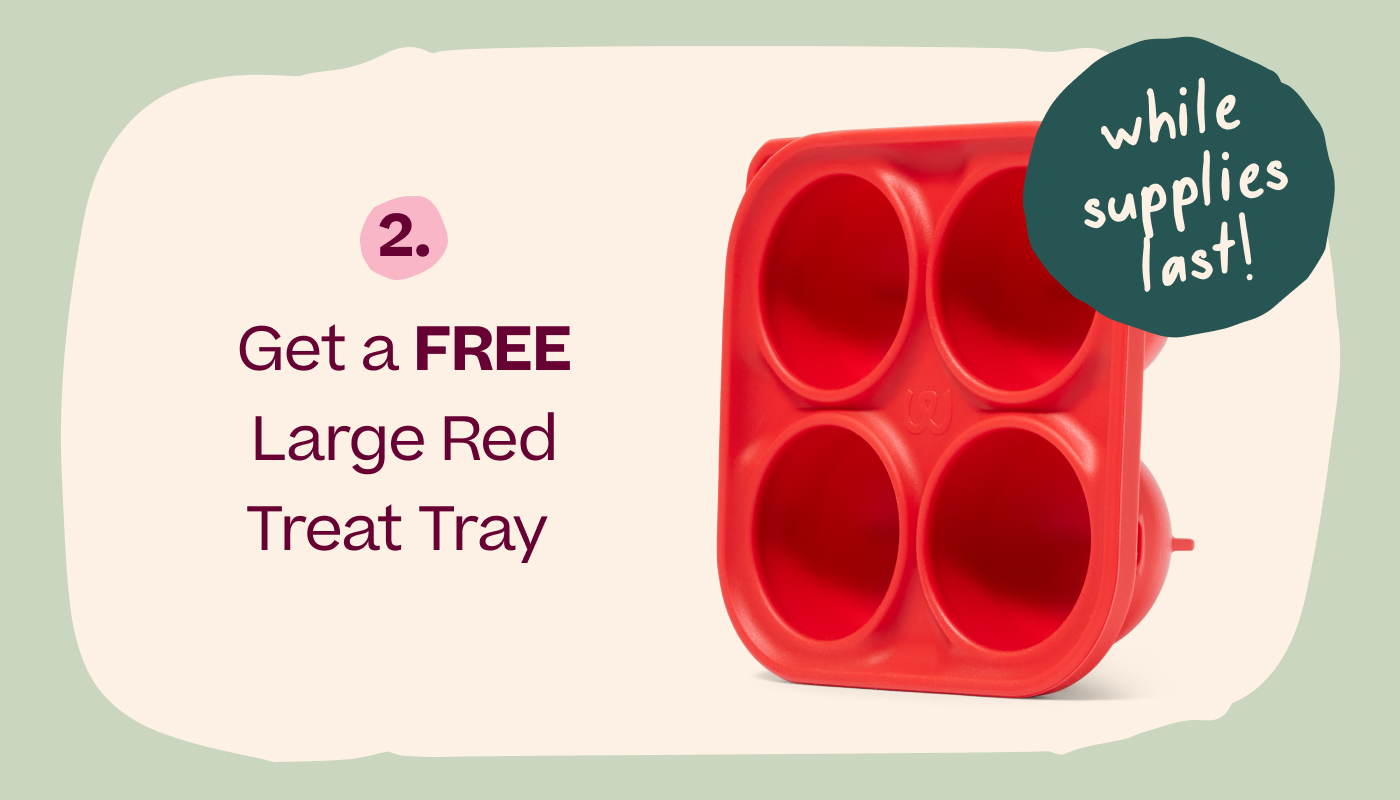 2. Get a free Large Red Treat Tray 