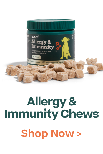 Woof | Allergy & Immunity Chews