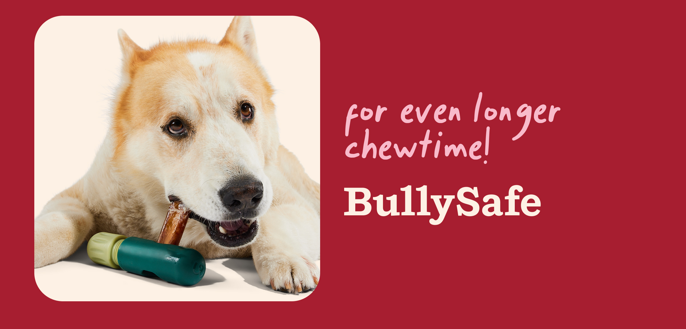 BullySafe: for even longer chewtime!