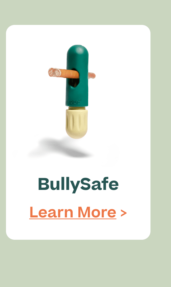 BullySafe