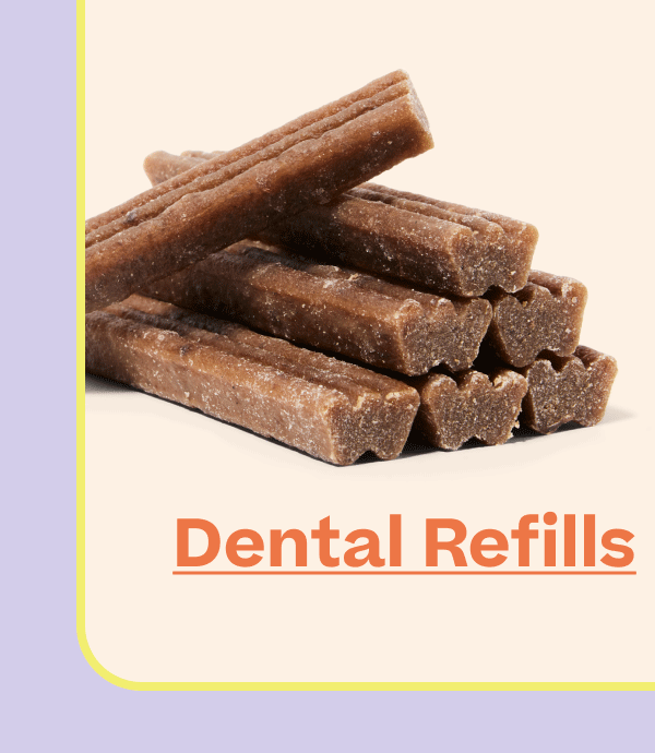Dental Refills