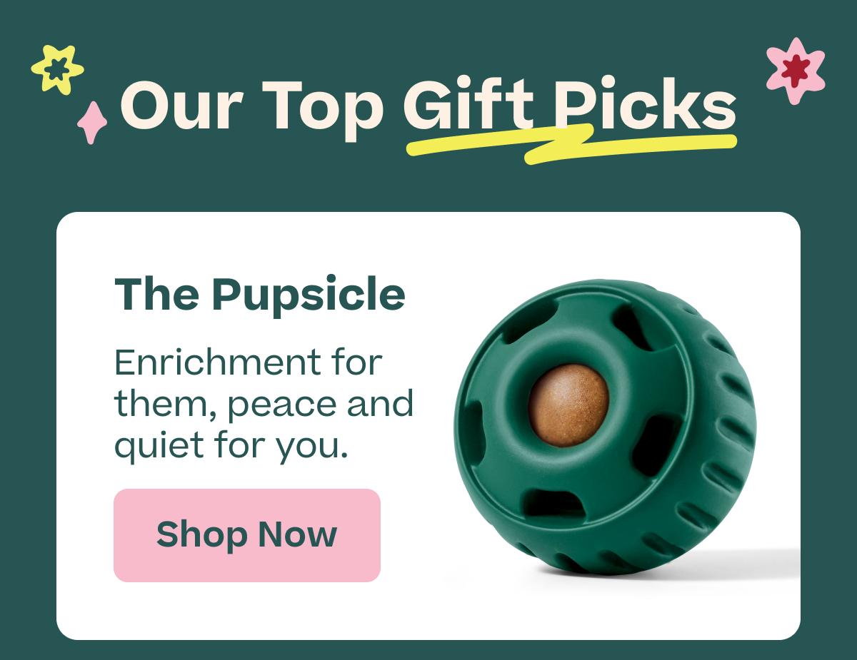Woof | Our Top Gift Picks - The Pupsicle - Shop Now!