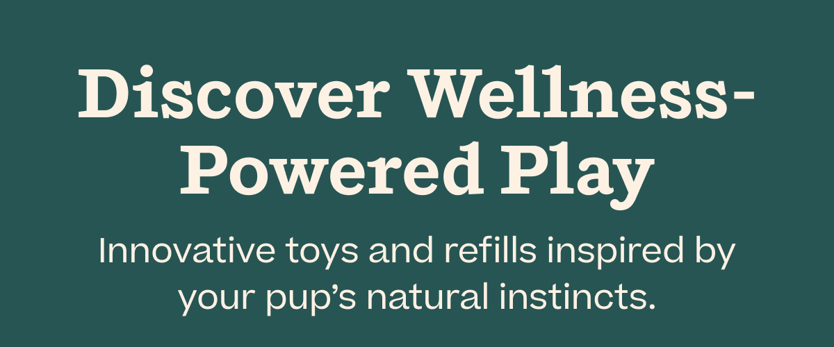 Discover Wellness-Powered Play