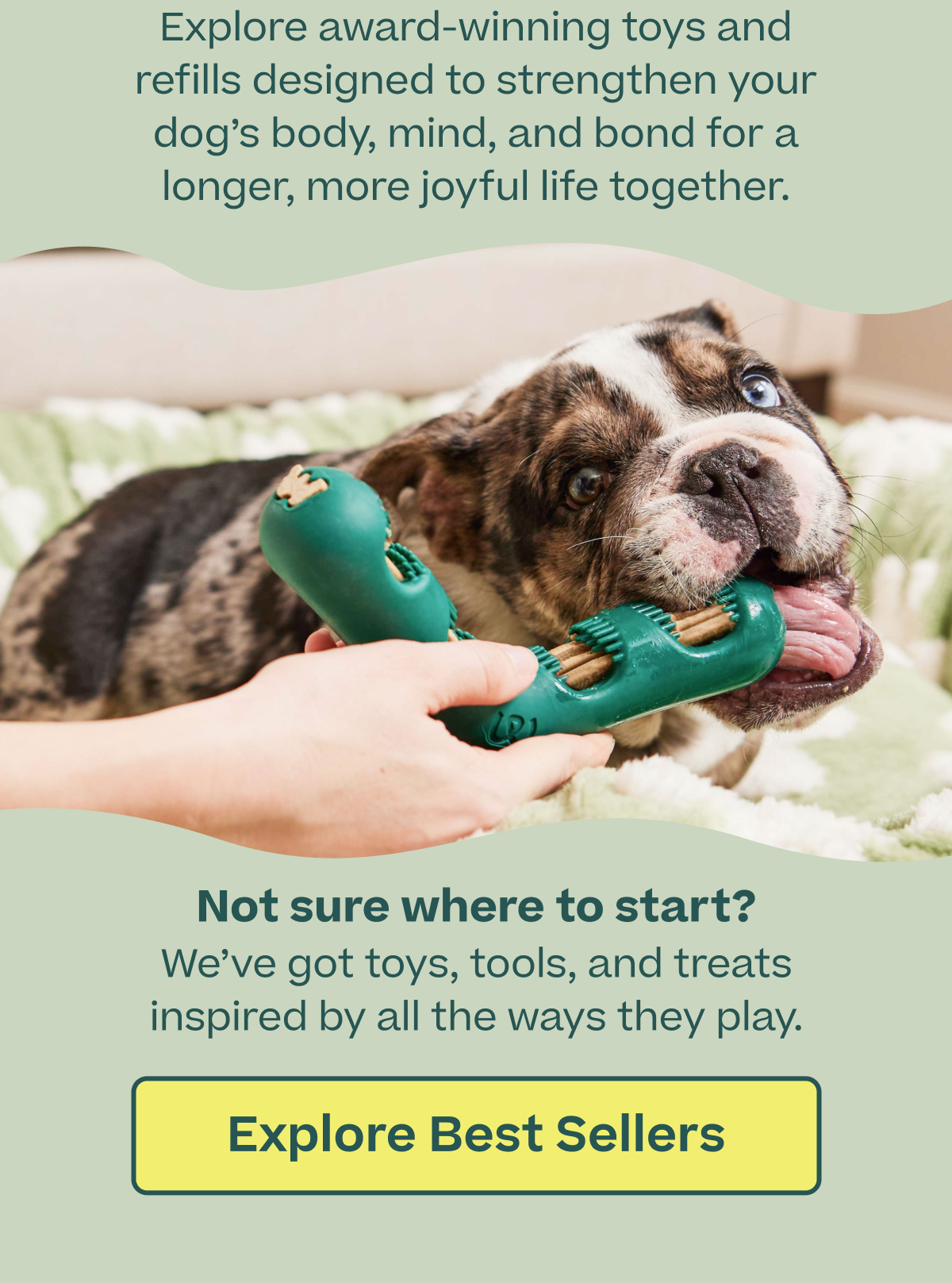 Explore award-winning toys and refills designed to strength your dog's body, mind, and bond for longer, more joyful life together. | Explore Best Sellers