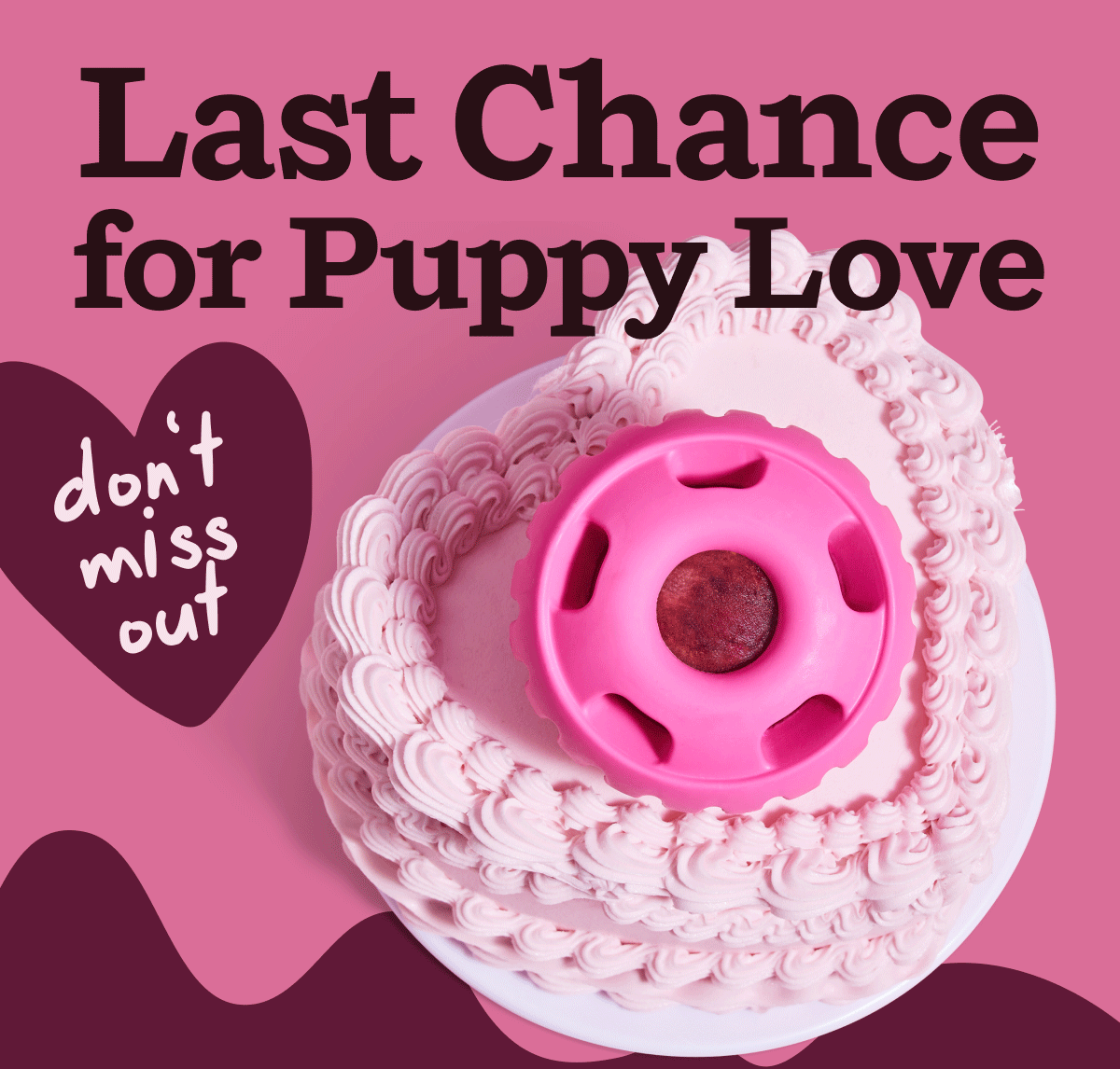 Last Chance for Puppy Love (don't miss out!) 