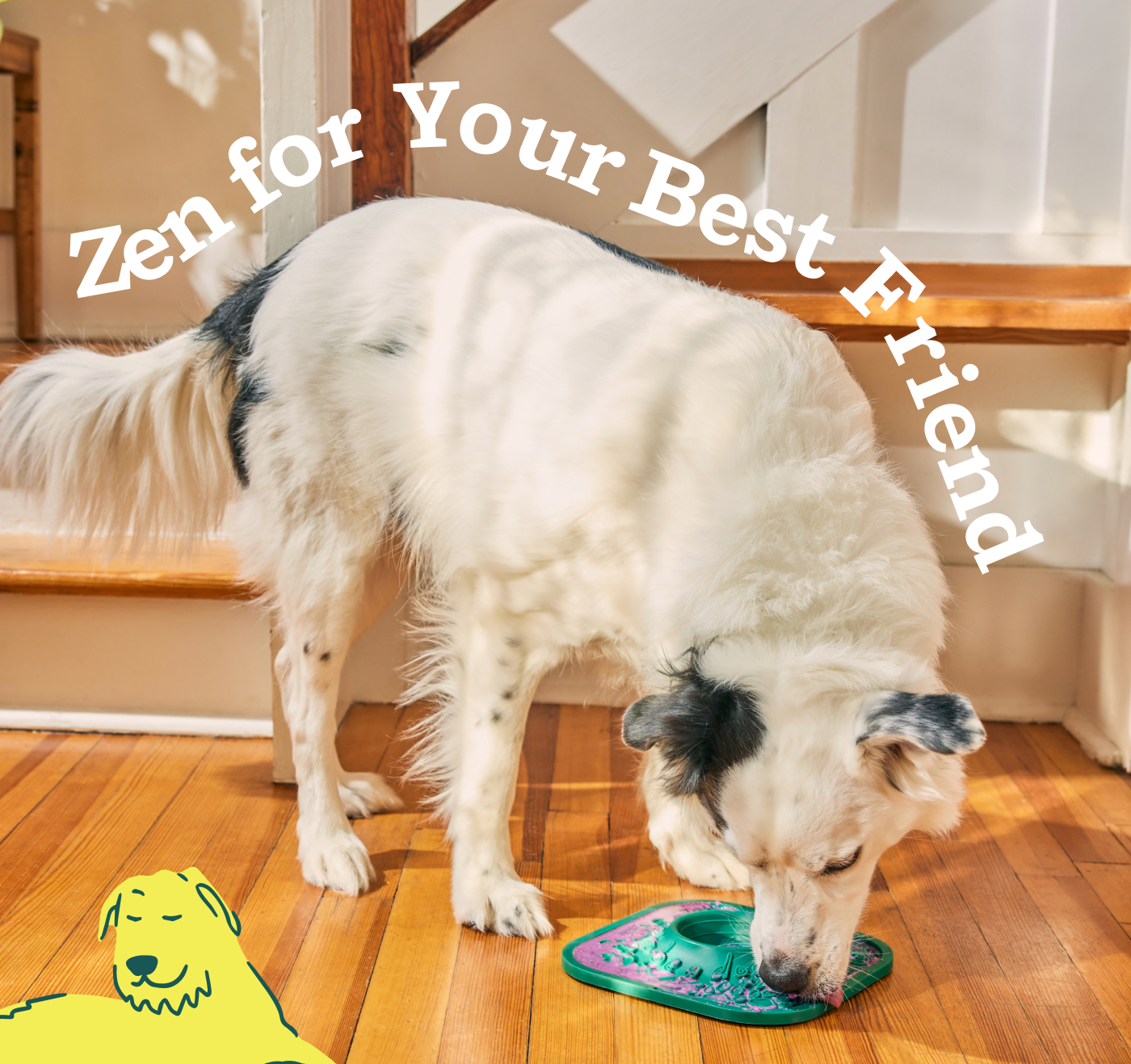 Zen for Your Best Friend 