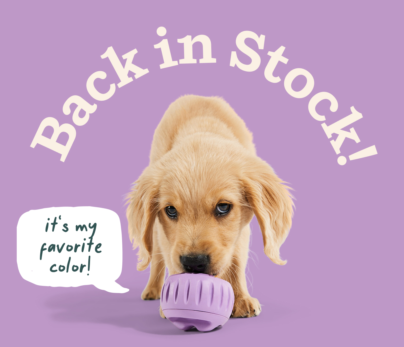 Back in Stock  "It's my favorite color!" 