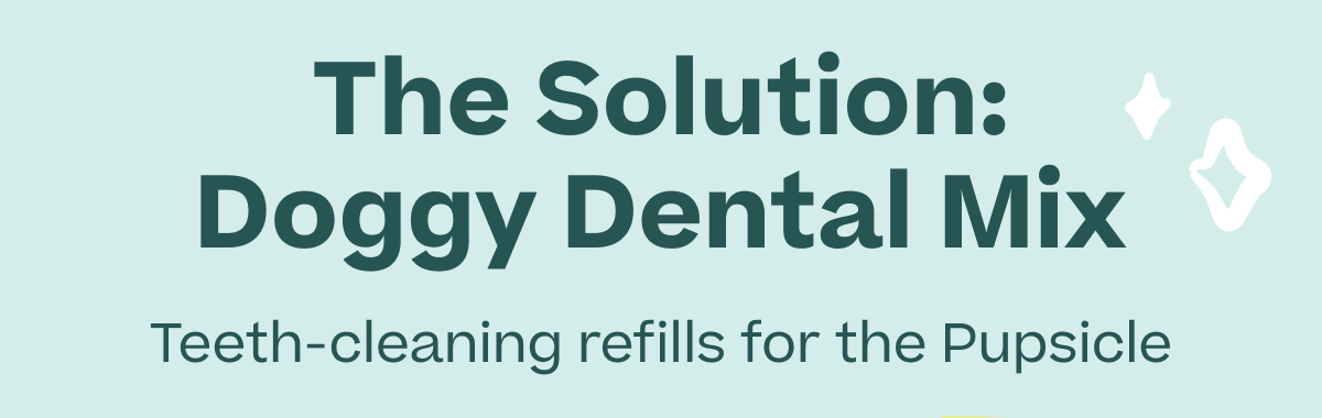 The Solution: Doggy Dental Mix Teeth-cleaning refills for the Pupsicle