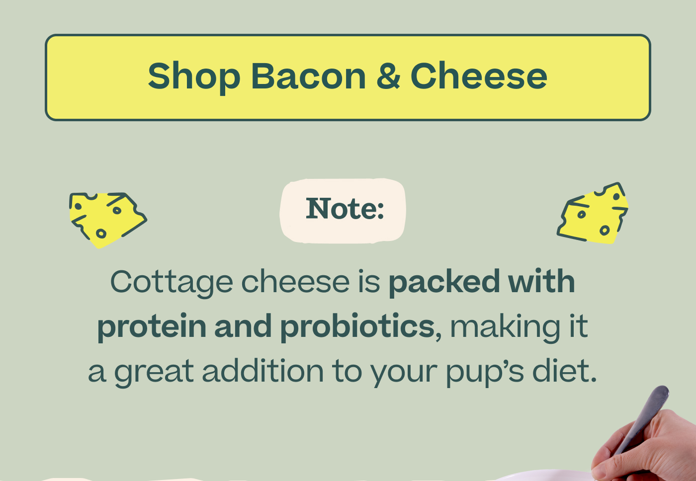 Note: Cottage cheese is packed with protein and probiotics, making it a great addition to your pup's diet.   |  Shop Bacon & Cheese