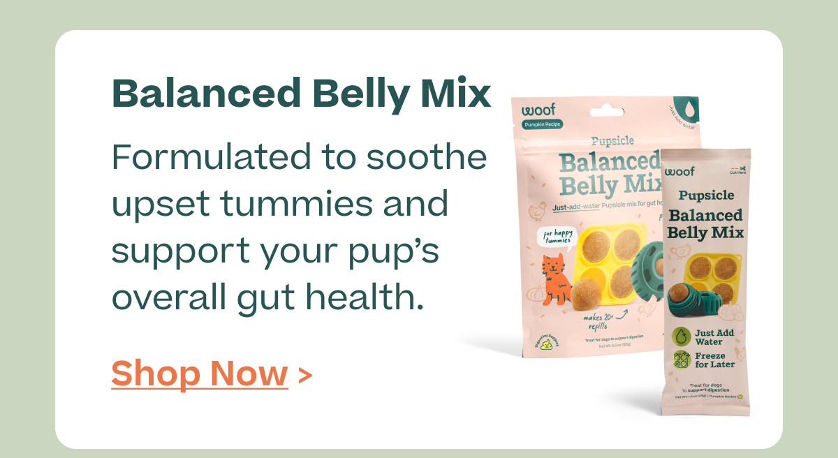 Balanced Belly Mix.  Formulated to soothe upset tummies and support your pup's overall gut health.  |  Shop Now >