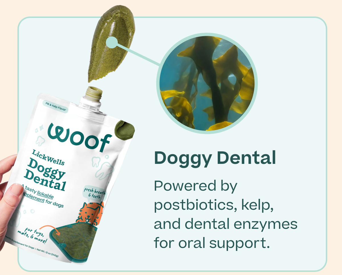 Doggy Dental: Powered by postbiotics, kelp,  and dental enzymes for oral support | Shop Now