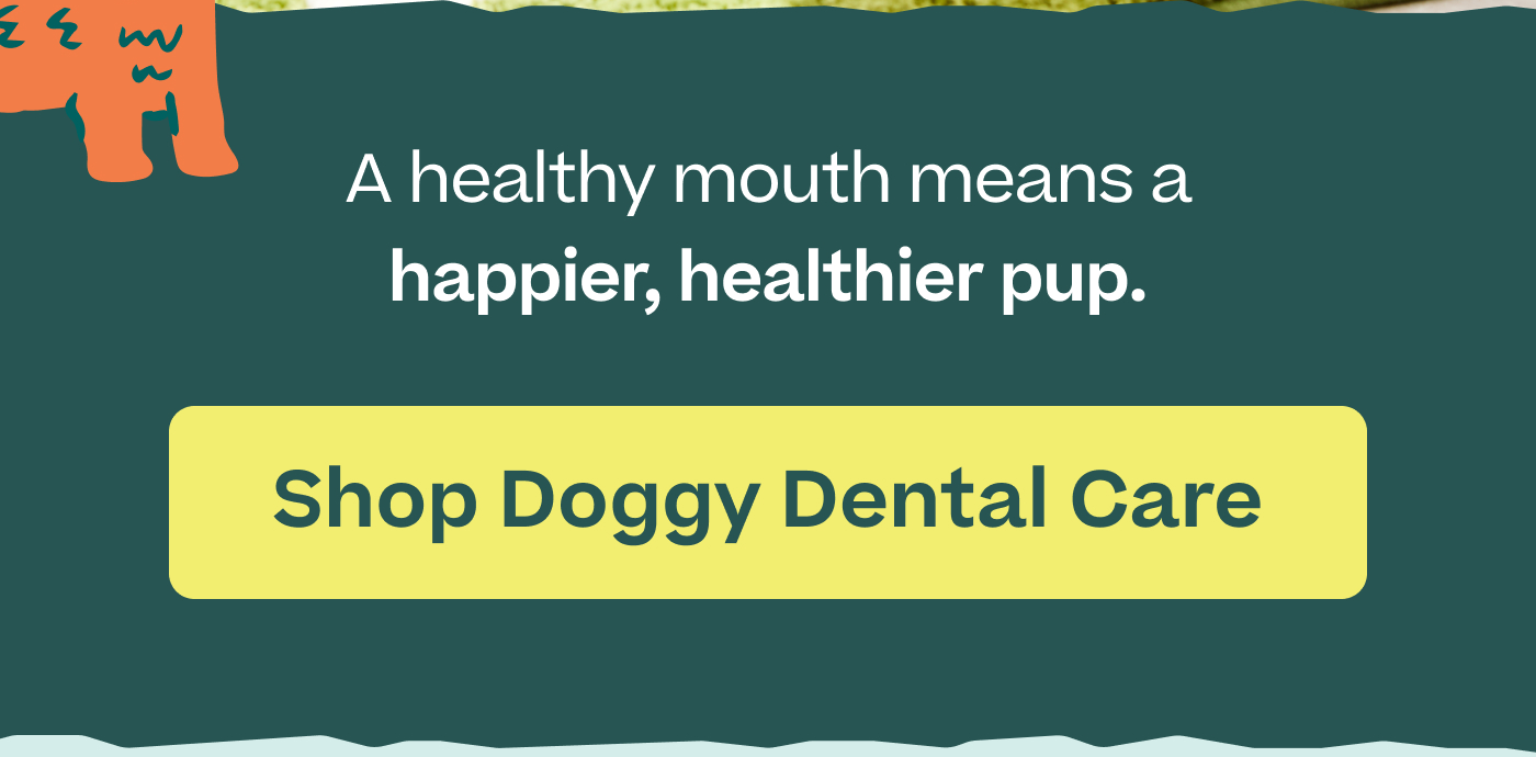 A healthy mouth means a happier, healthier pup.  |  Shop Doggy Dental Care