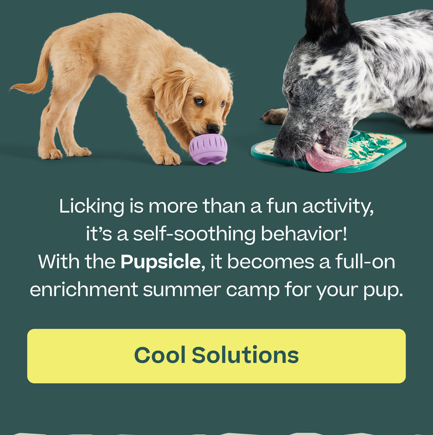 Licking is more than a fun activity, it's a self-soothing behavior! With the Pupsicle, it becomes a full-on enrichment summer camp for your pup.   |  Cool Solutions 