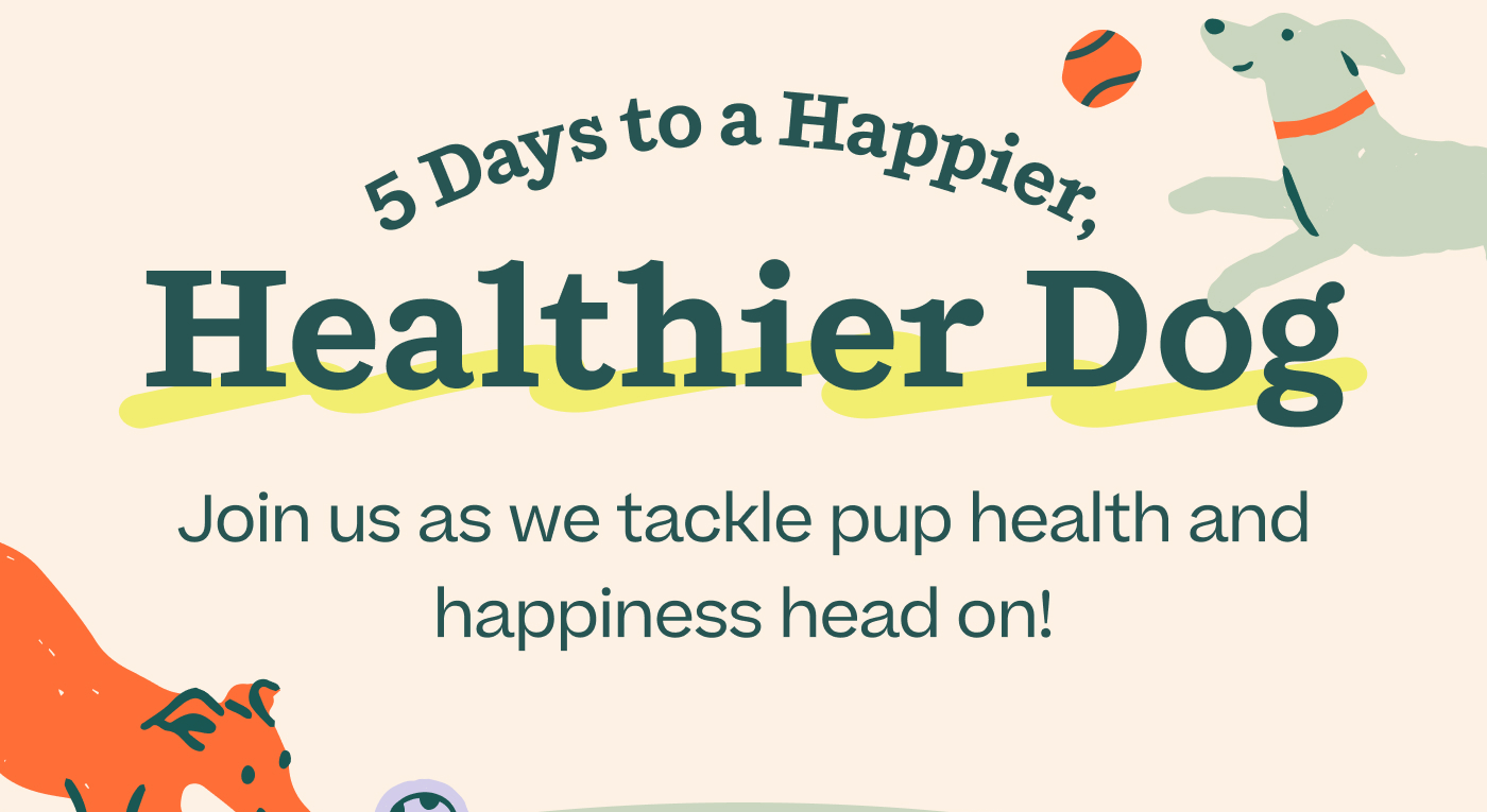 5 Days to a Happier, Healthier Dog. Join us as we tackle pup health and happiness head on!