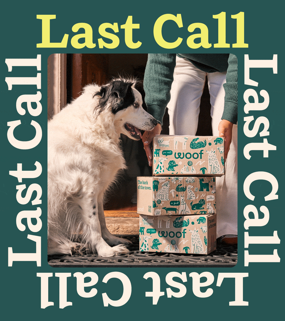 Woof | Last Call for Expedited Shipping