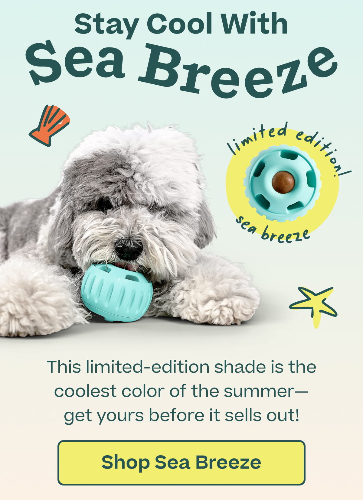 Woof | New Sea Breeze Pupsicle - Shop Now